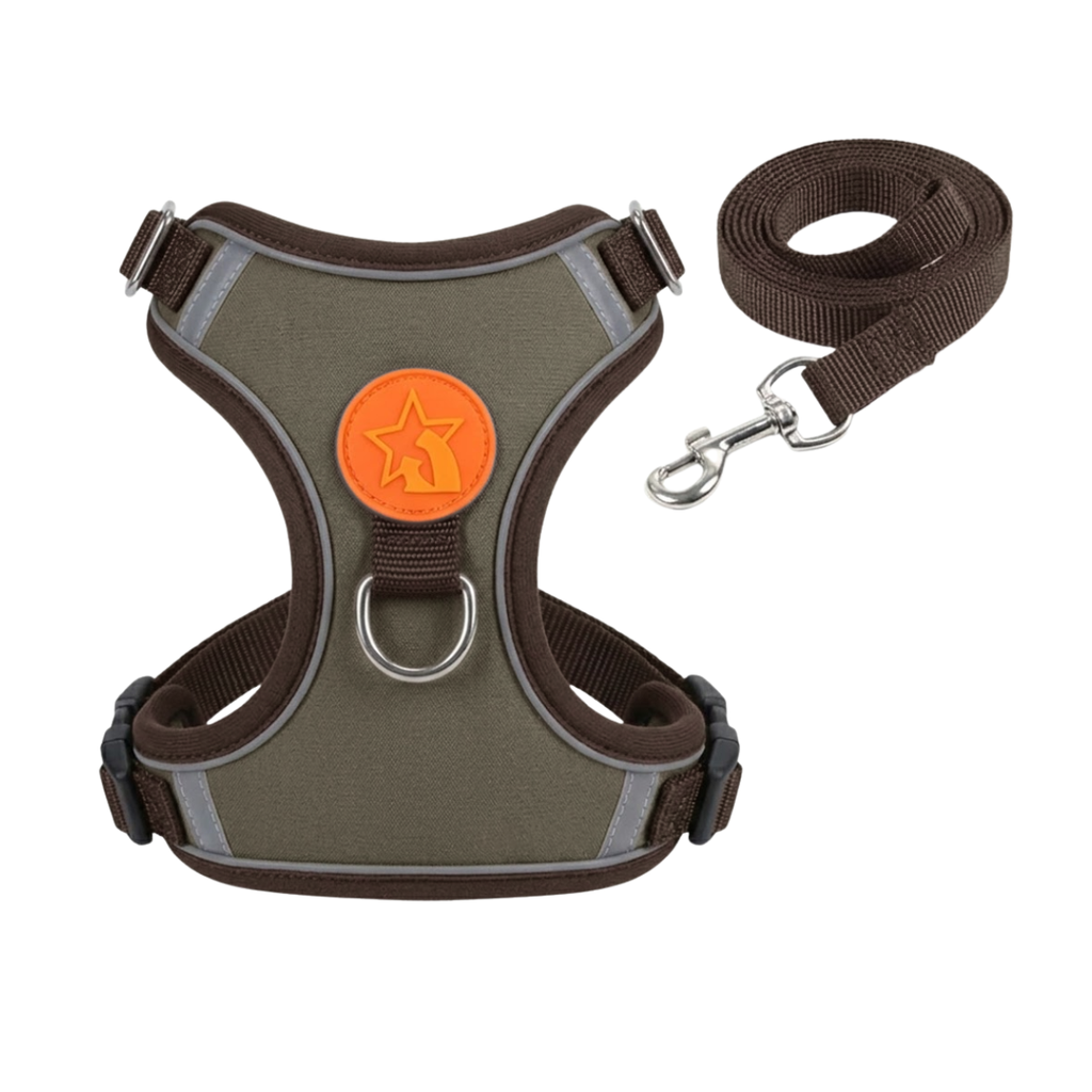 Reflective Nylon Dog Harness and Leash Set with Breathable Soft Mesh Lining