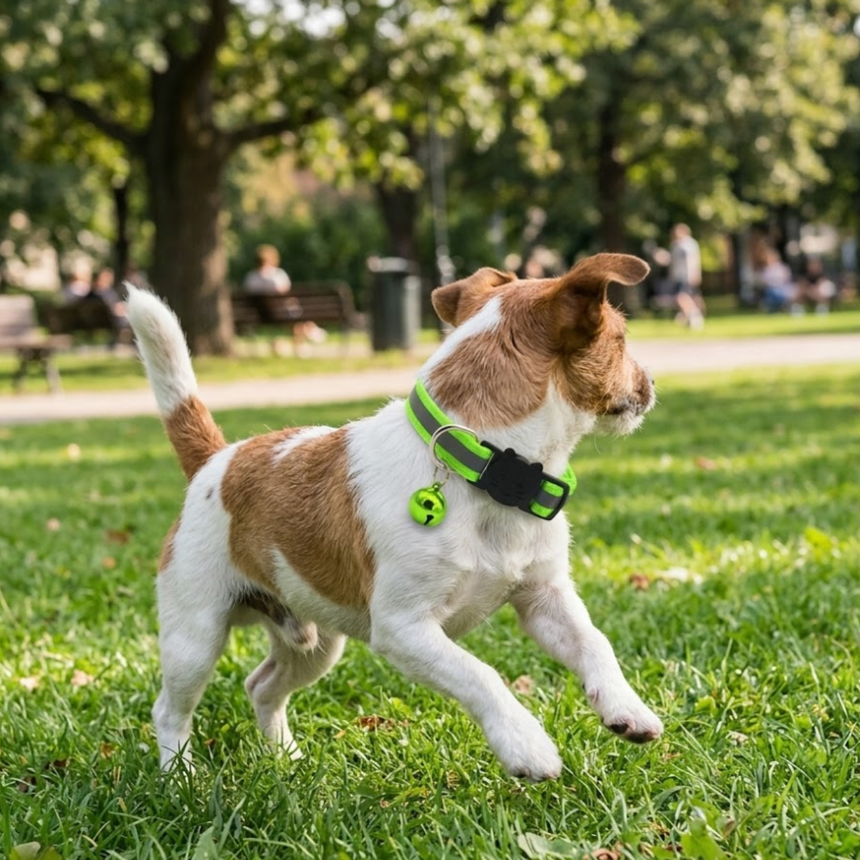 Reflective Cat Collar with Bell and Breakaway Buckle for Small Dogs and Kittens