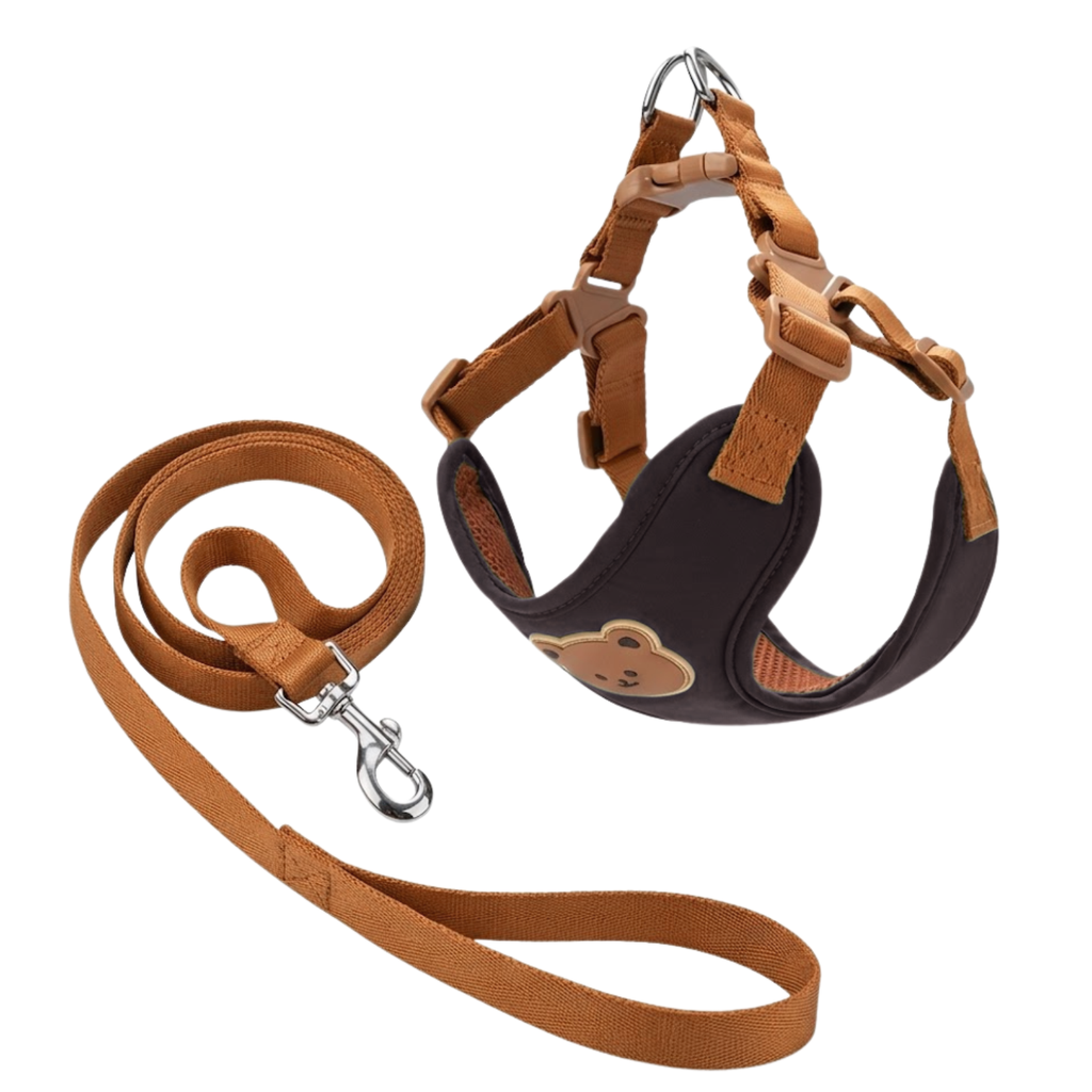Pet Harness and Leash Set Adjustable Anti-Escape Vest for Small Dogs and Cats