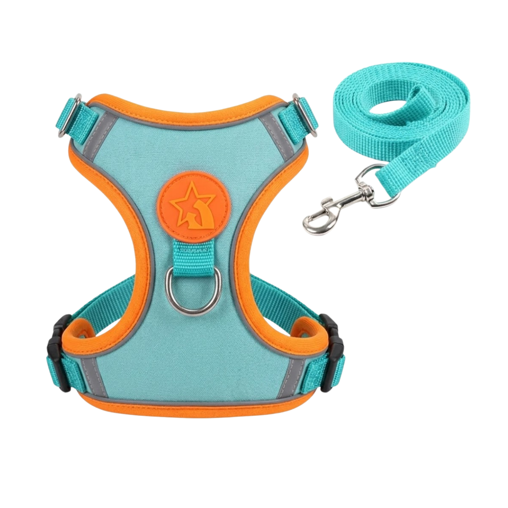Reflective Nylon Dog Harness and Leash Set with Breathable Soft Mesh Lining