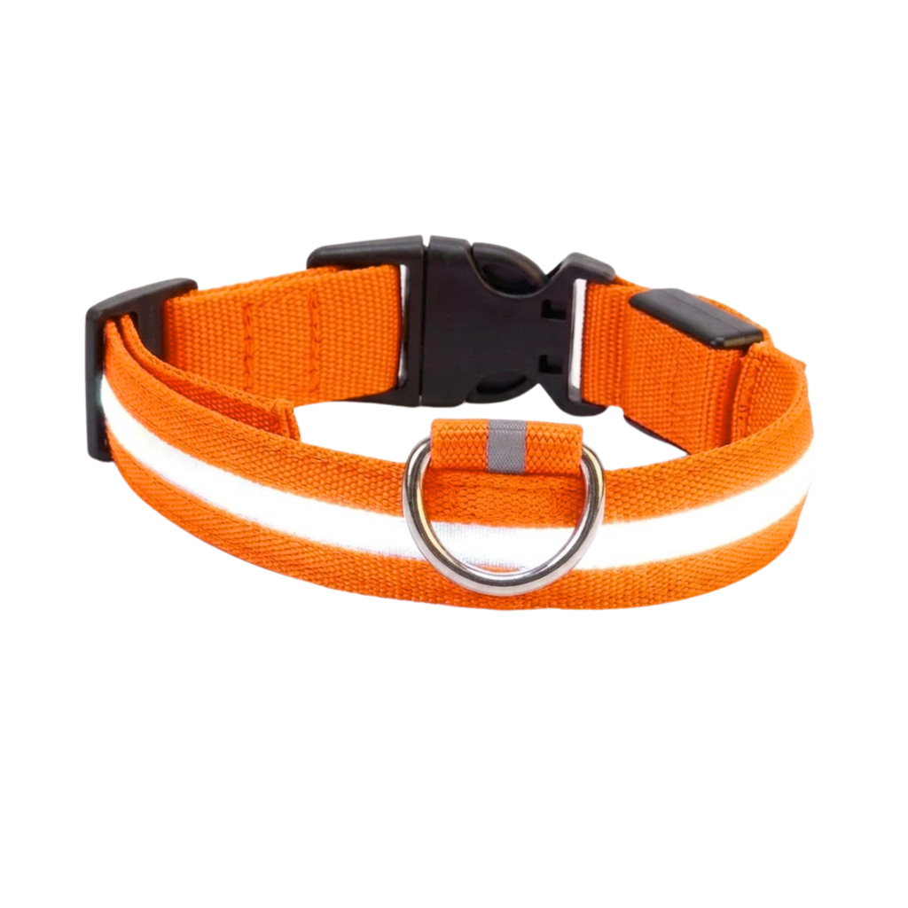 LED Dog Collar Nylon Rechargeable Glow in the Dark Night Safety Flashing Light