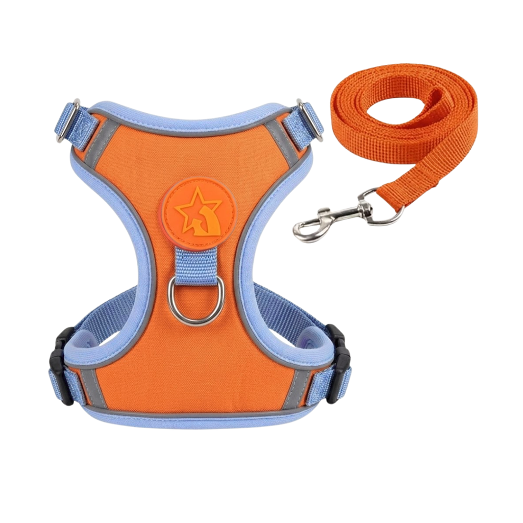 Reflective Nylon Dog Harness and Leash Set with Breathable Soft Mesh Lining