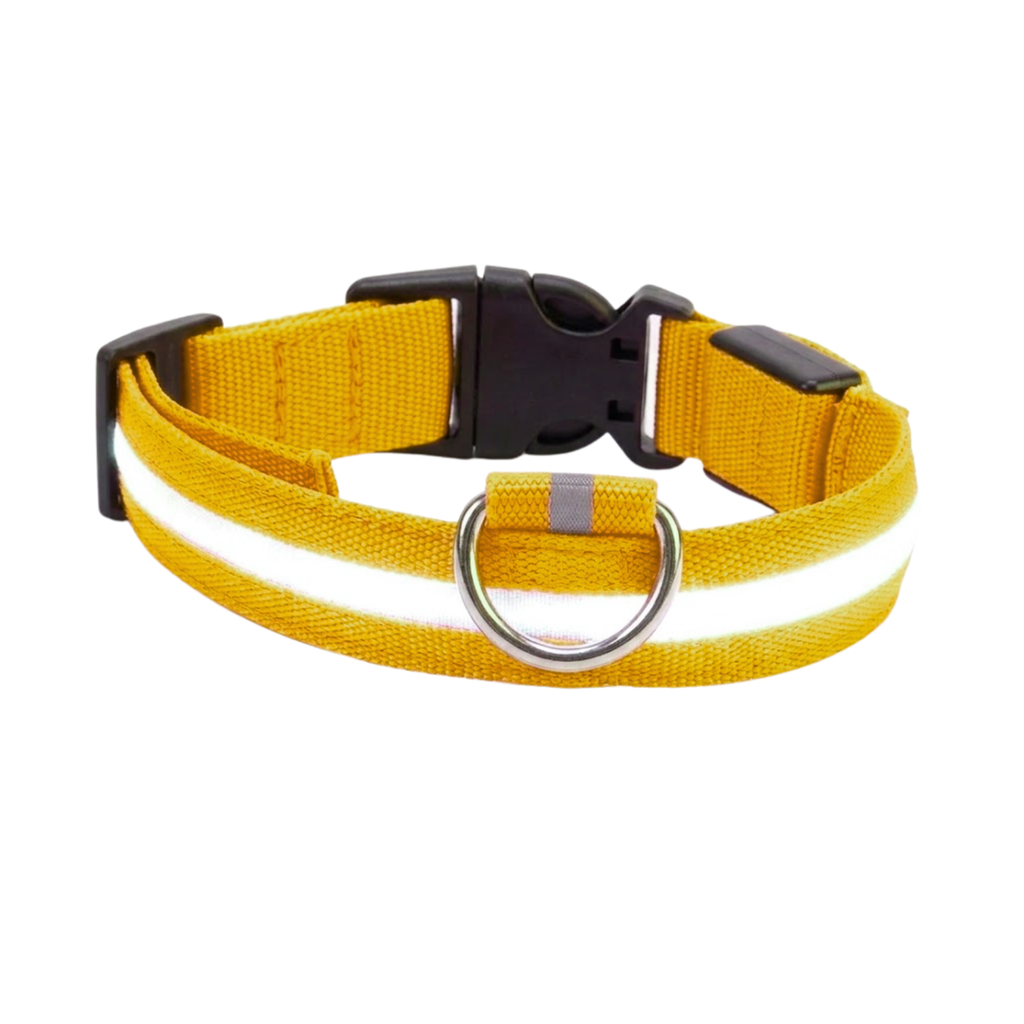 LED Dog Collar Nylon Rechargeable Glow in the Dark Night Safety Flashing Light