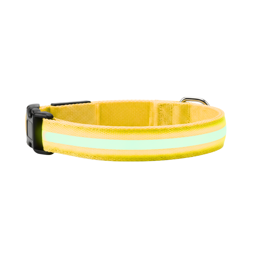 LED Glowing Dog Collar USB Rechargeable Nylon Light Up Pet Safety Harness Adjustable