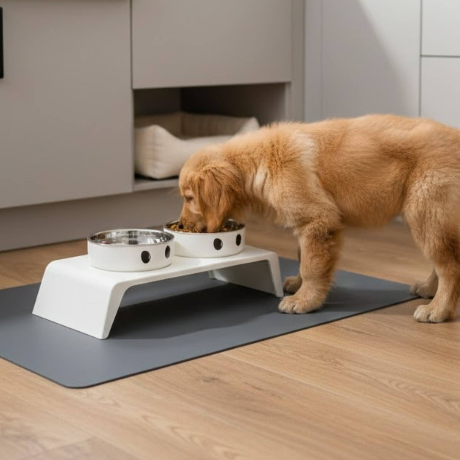 Elevated Dog Bowls Raised Feeder Stand with Double Stainless Steel Food Water Dishes