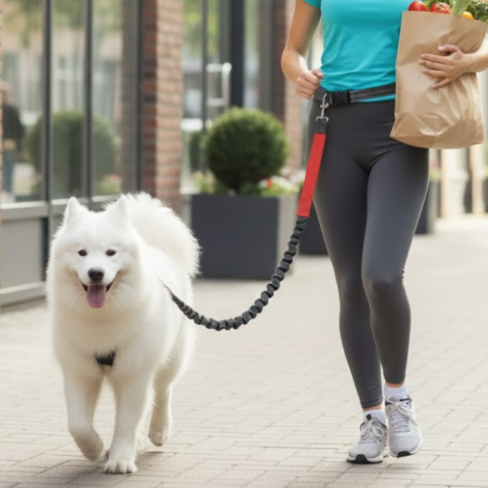 Hands Free Dog Leash for Running Elastic Nylon Bungee Leash with Waist Belt