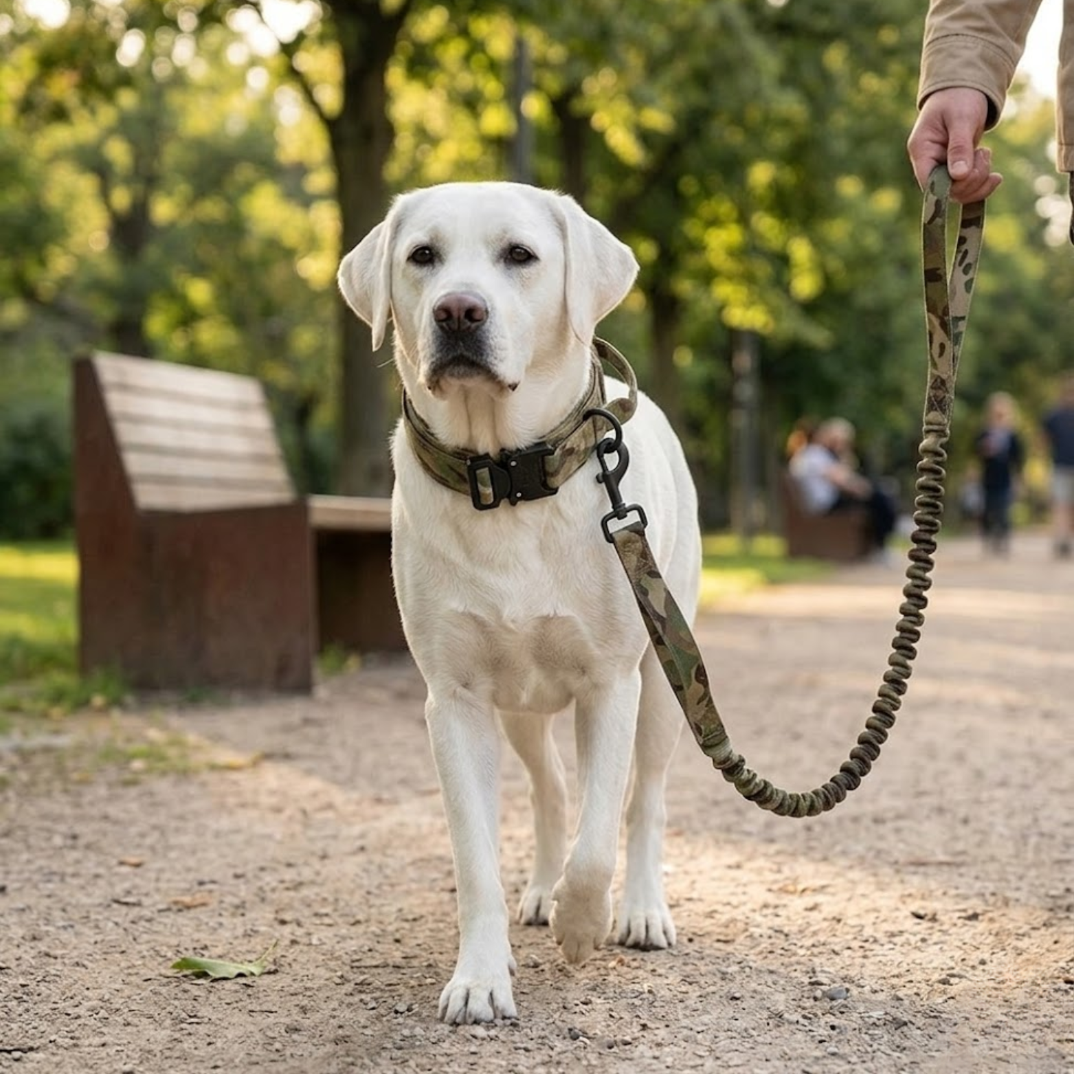 Tactical Dog Collar and Leash Set Adjustable Nylon with Shock Absorbing Bungee
