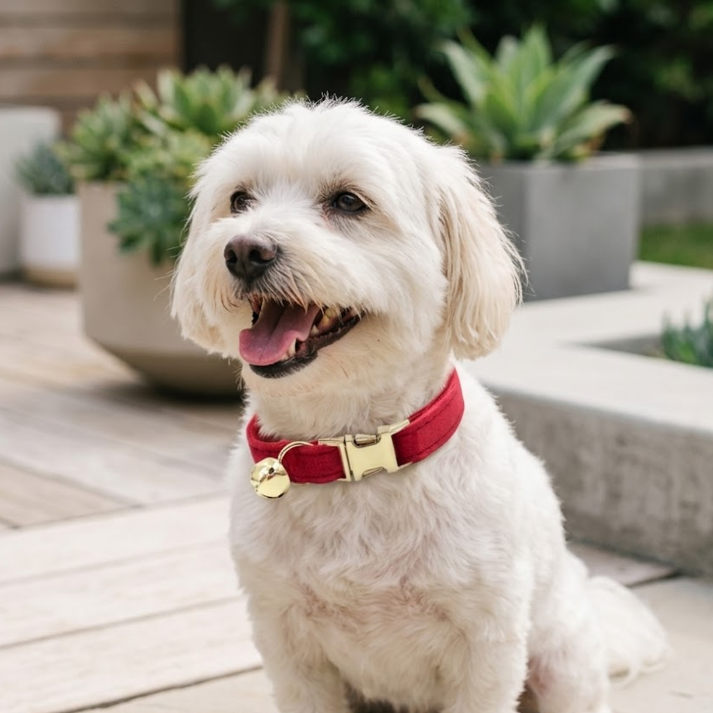 Smart Pet Tracker with Adjustable Velvet Collar and Bell for Dogs and Cats