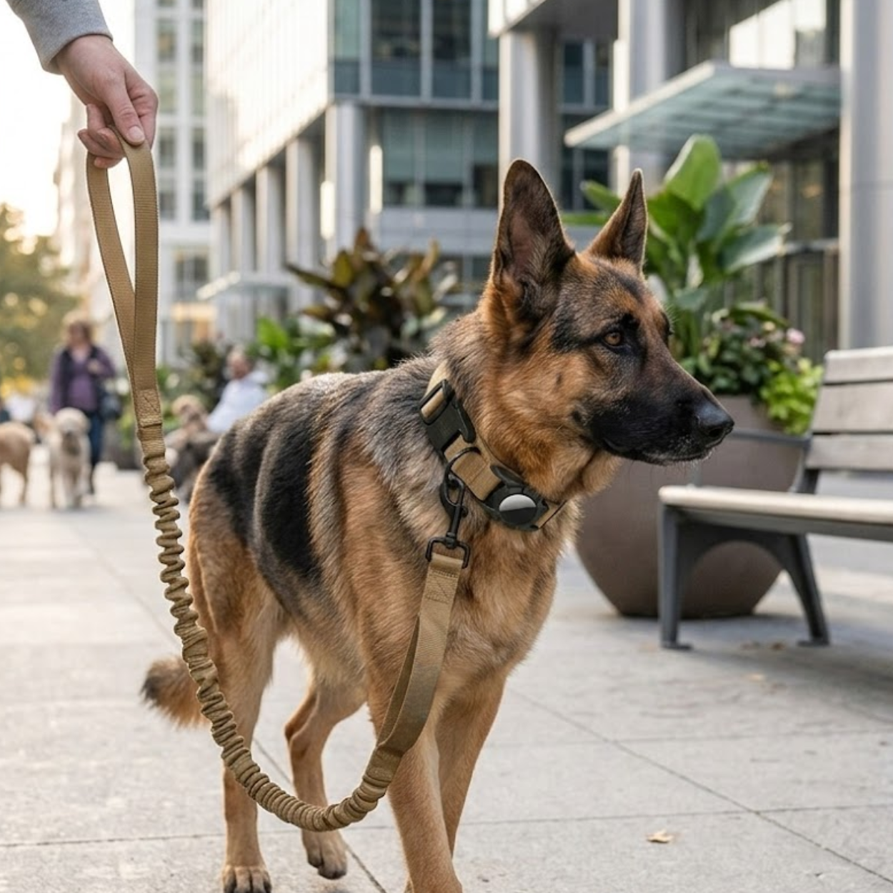 Tactical Nylon Dog Collar with Integrated AirTag Holder and Metal Buckle