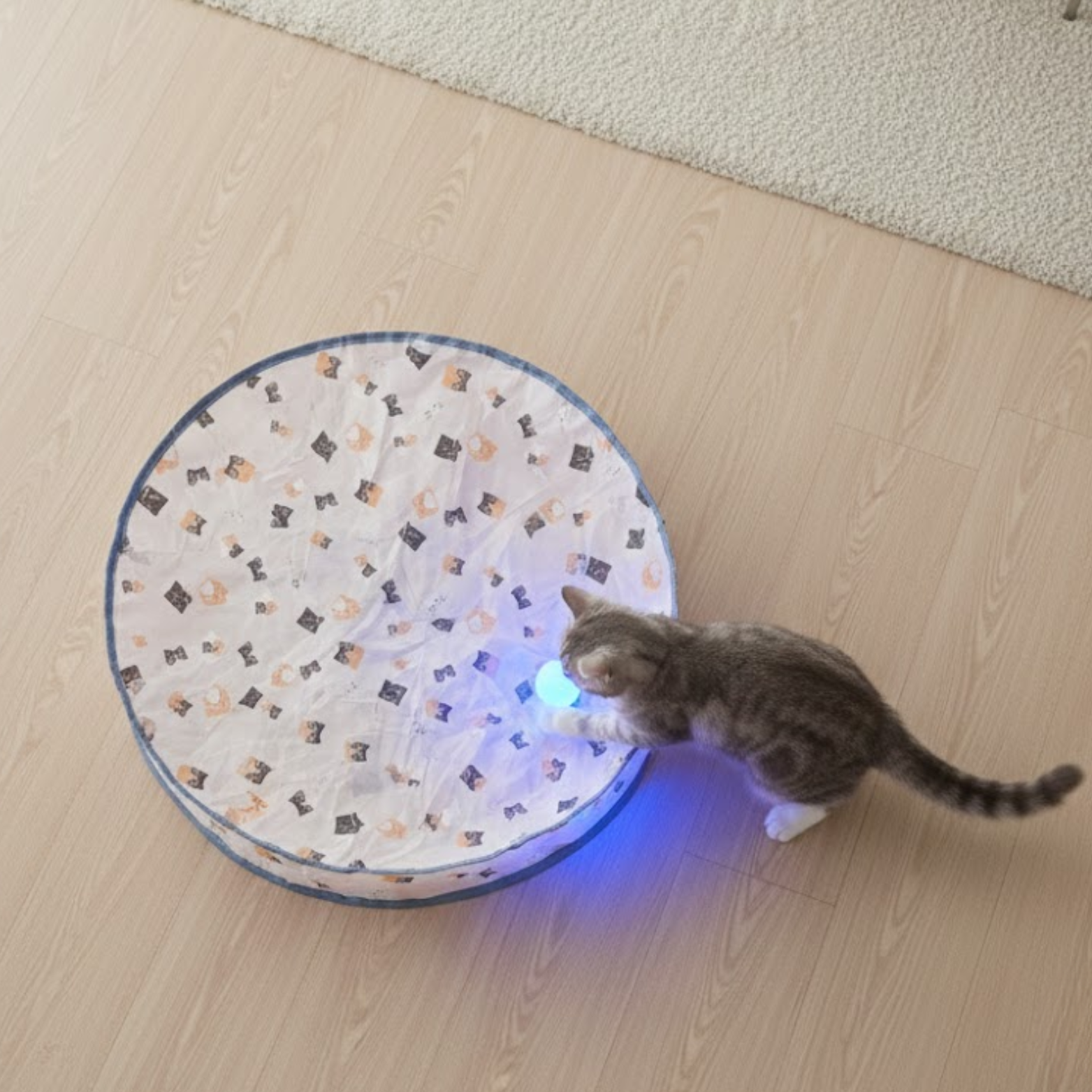 Interactive Motion Activated Cat Toy Ball with Hide and Seek Cloth Pouch Cover