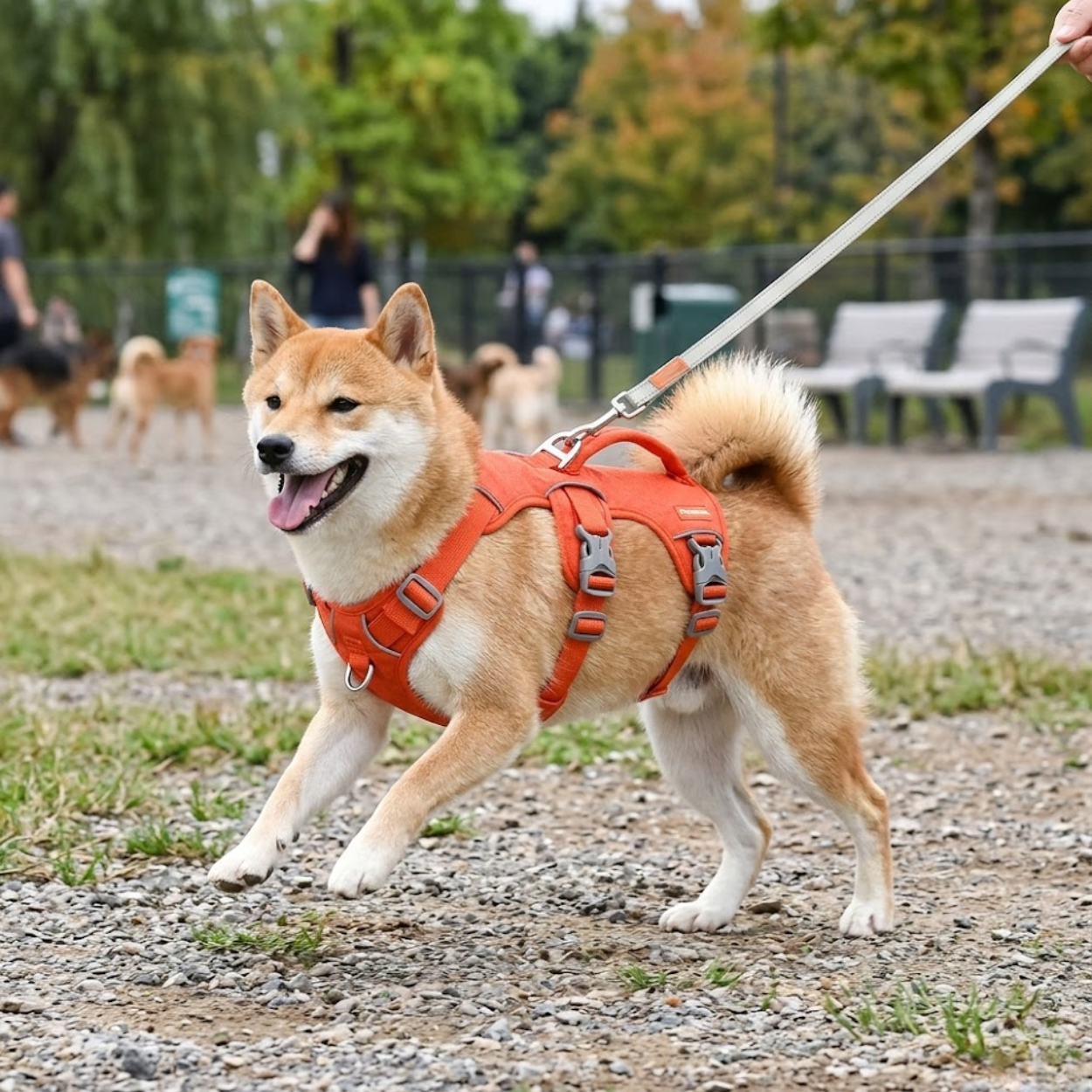 Reflective Nylon Dog Harness with Padded Vest and Adjustable Lifting Handle