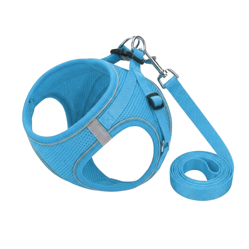 Reflective Dog Harness and Leash Set Breathable Mesh No Pull Vest for Small Pets