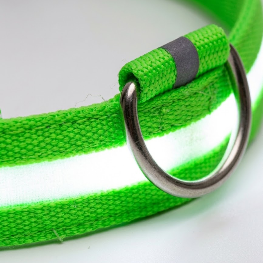 LED Dog Collar Nylon Rechargeable Glow in the Dark Night Safety Flashing Light