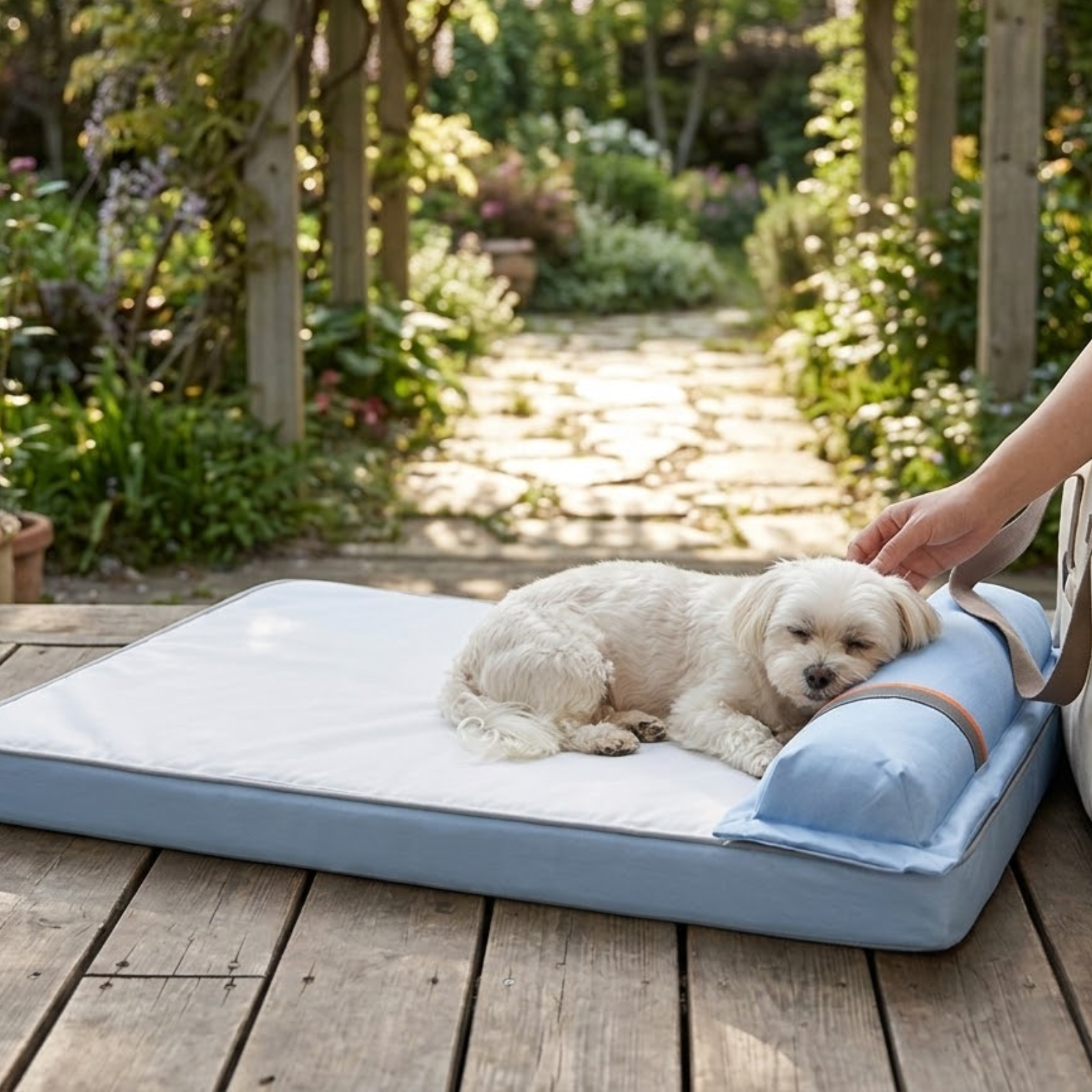 Memory Foam Dog Bed with Heat Dissipation Taffeta Cover and Removable Cooling Pillow