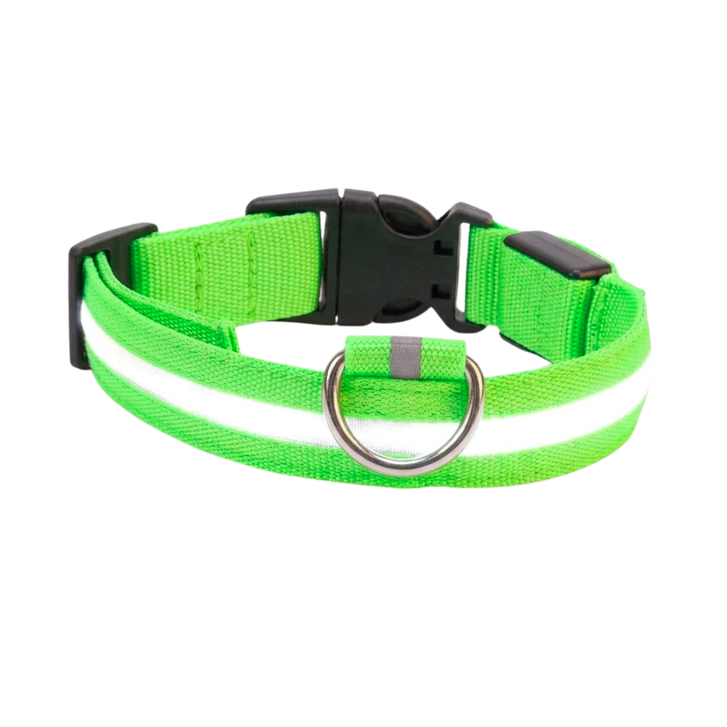 LED Dog Collar Nylon Rechargeable Glow in the Dark Night Safety Flashing Light