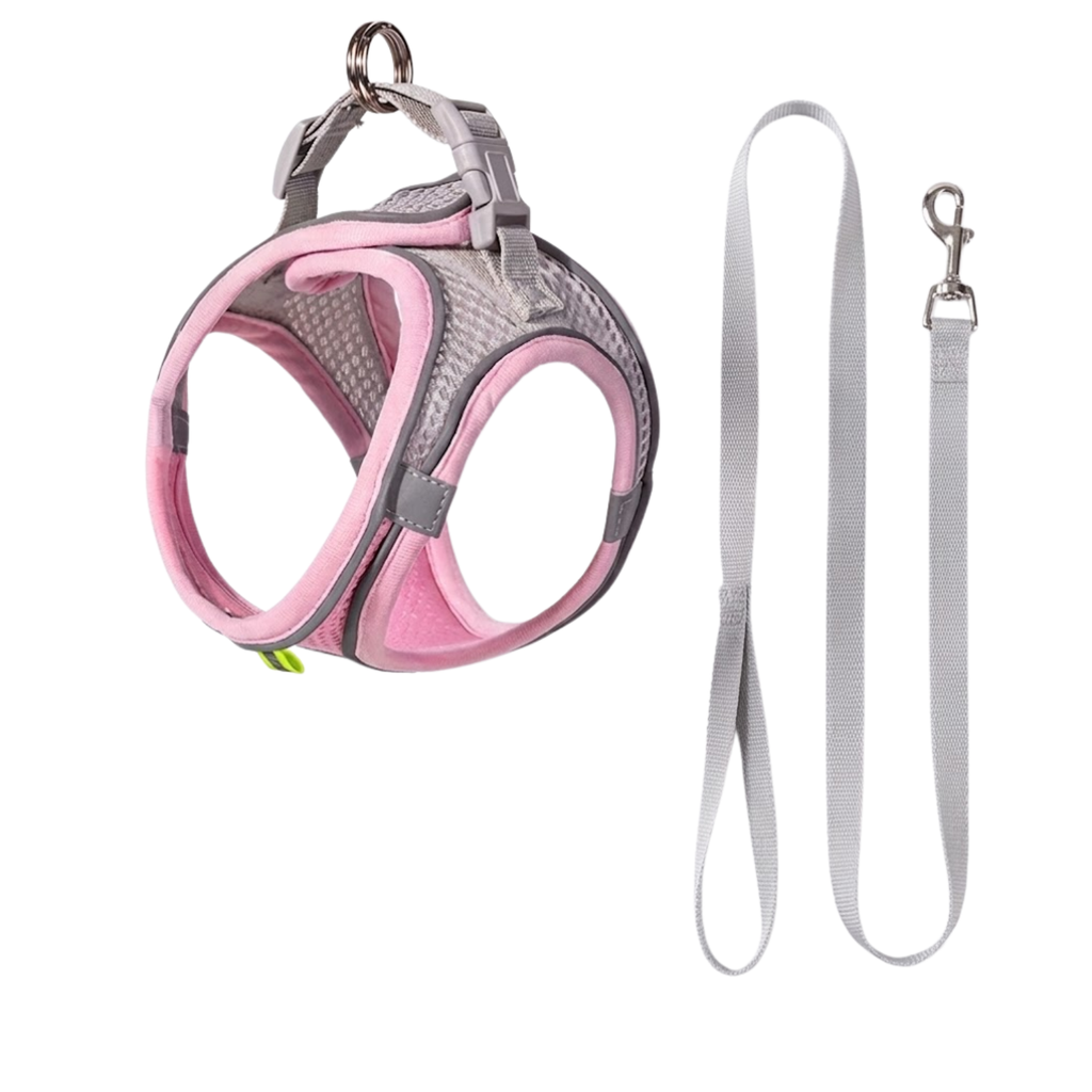 Small Dog Harness and Leash Set Adjustable Breathable Nylon Mesh Puppy Vest