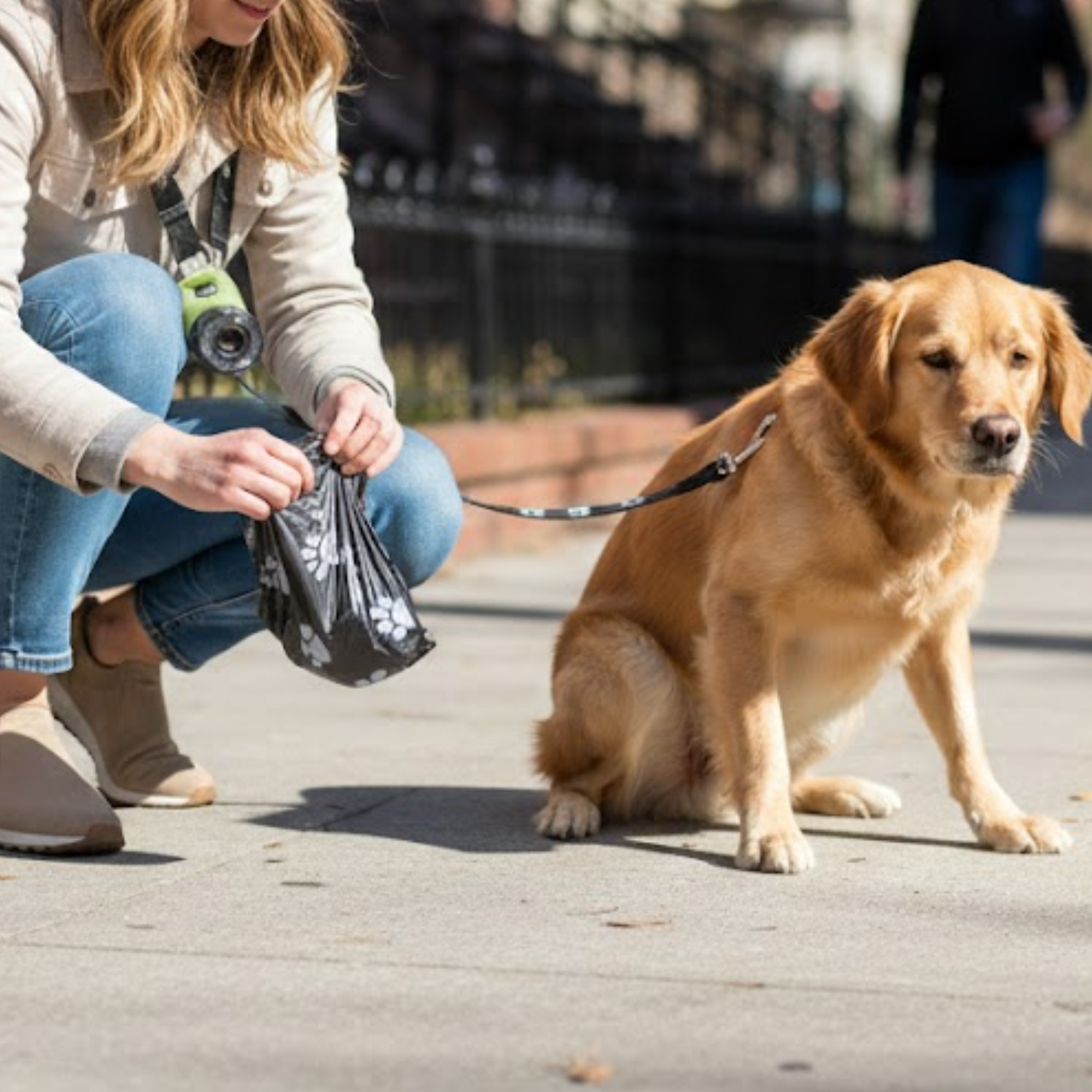 Compostable Dog Poop Bags Eco-Friendly Vegetable-Based Pet Waste Refill Rolls