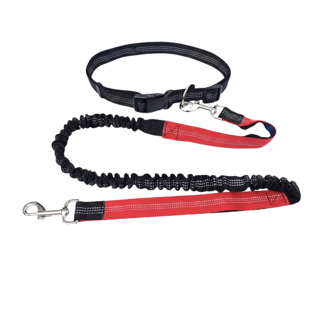 Hands Free Dog Leash for Running Elastic Nylon Bungee Leash with Waist Belt