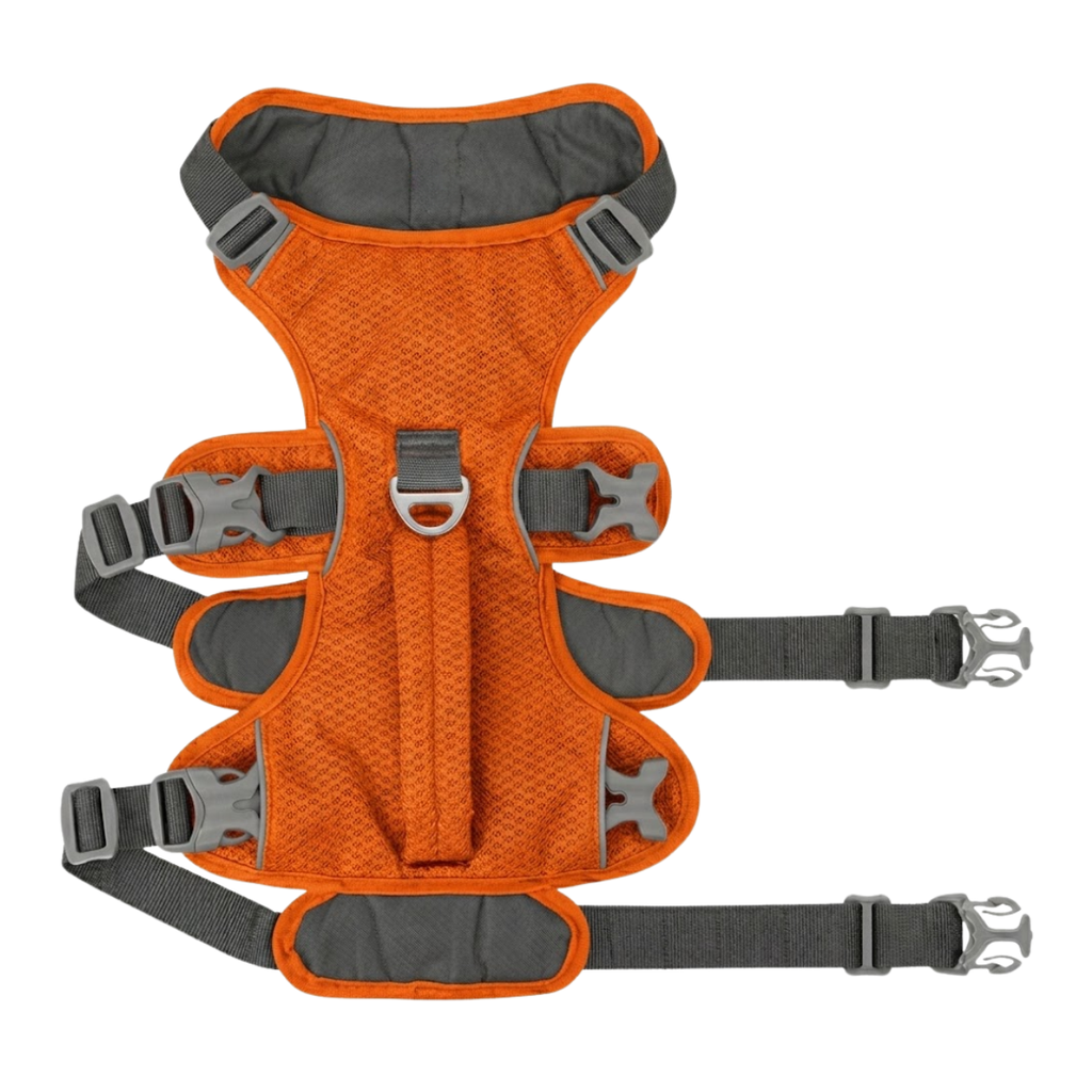 Reflective Nylon Dog Harness with Padded Vest and Adjustable Lifting Handle