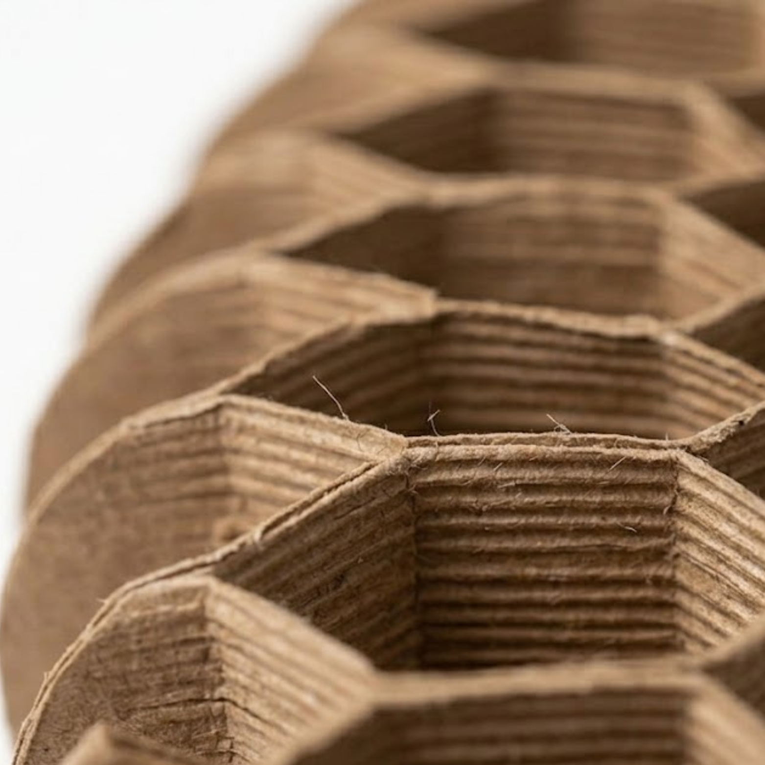 Foldable Accordion Cat Scratcher Cardboard Toy with Integrated Bell and Catnip
