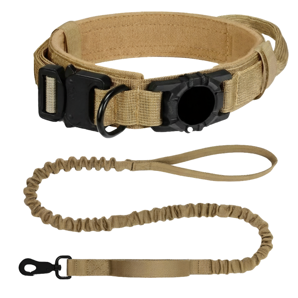 Tactical Nylon Dog Collar with Integrated AirTag Holder and Metal Buckle