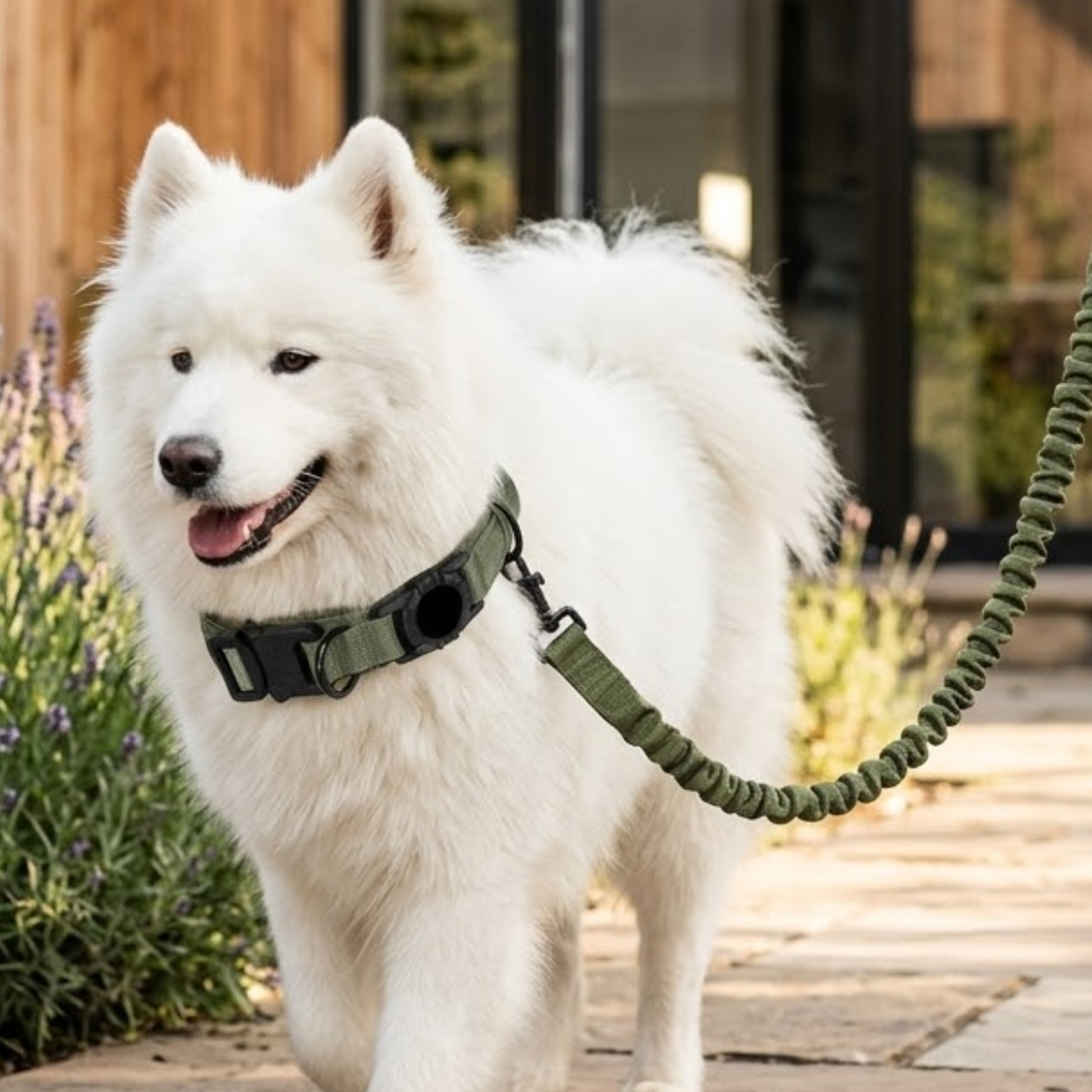 Tactical AirTag Dog Collar with Control Handle and Metal Buckle for Medium Large Dogs