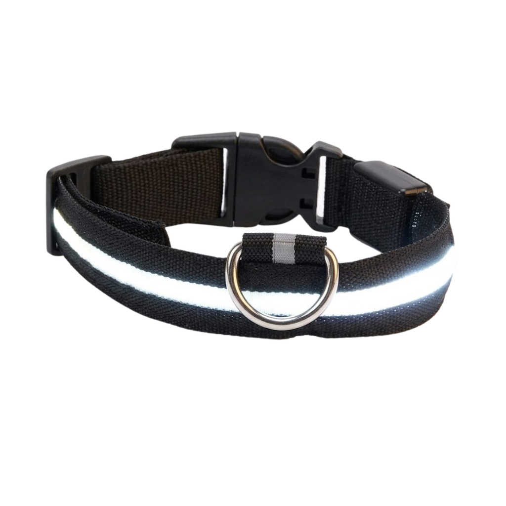 LED Dog Collar Nylon Rechargeable Glow in the Dark Night Safety Flashing Light