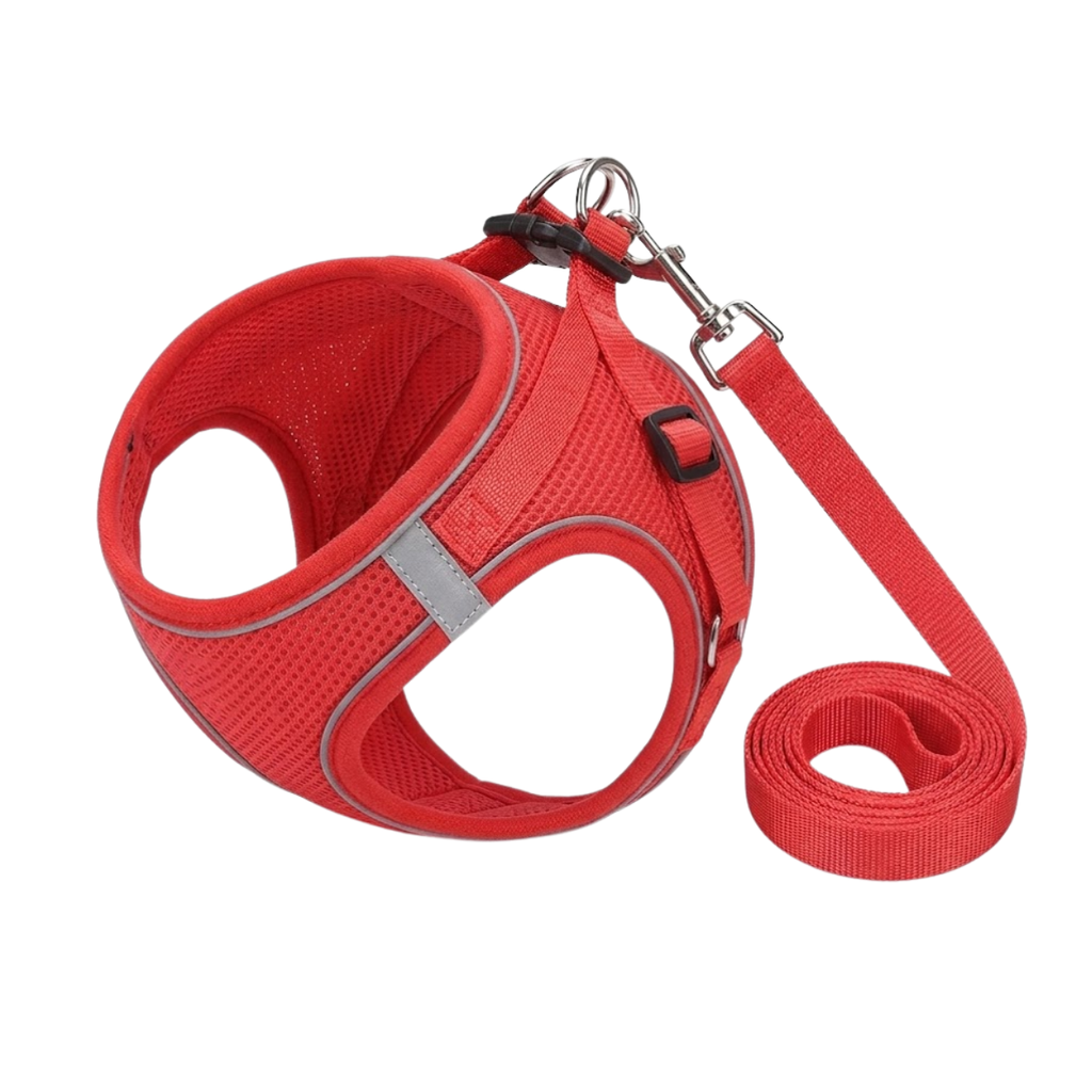 Reflective Dog Harness and Leash Set Breathable Mesh No Pull Vest for Small Pets