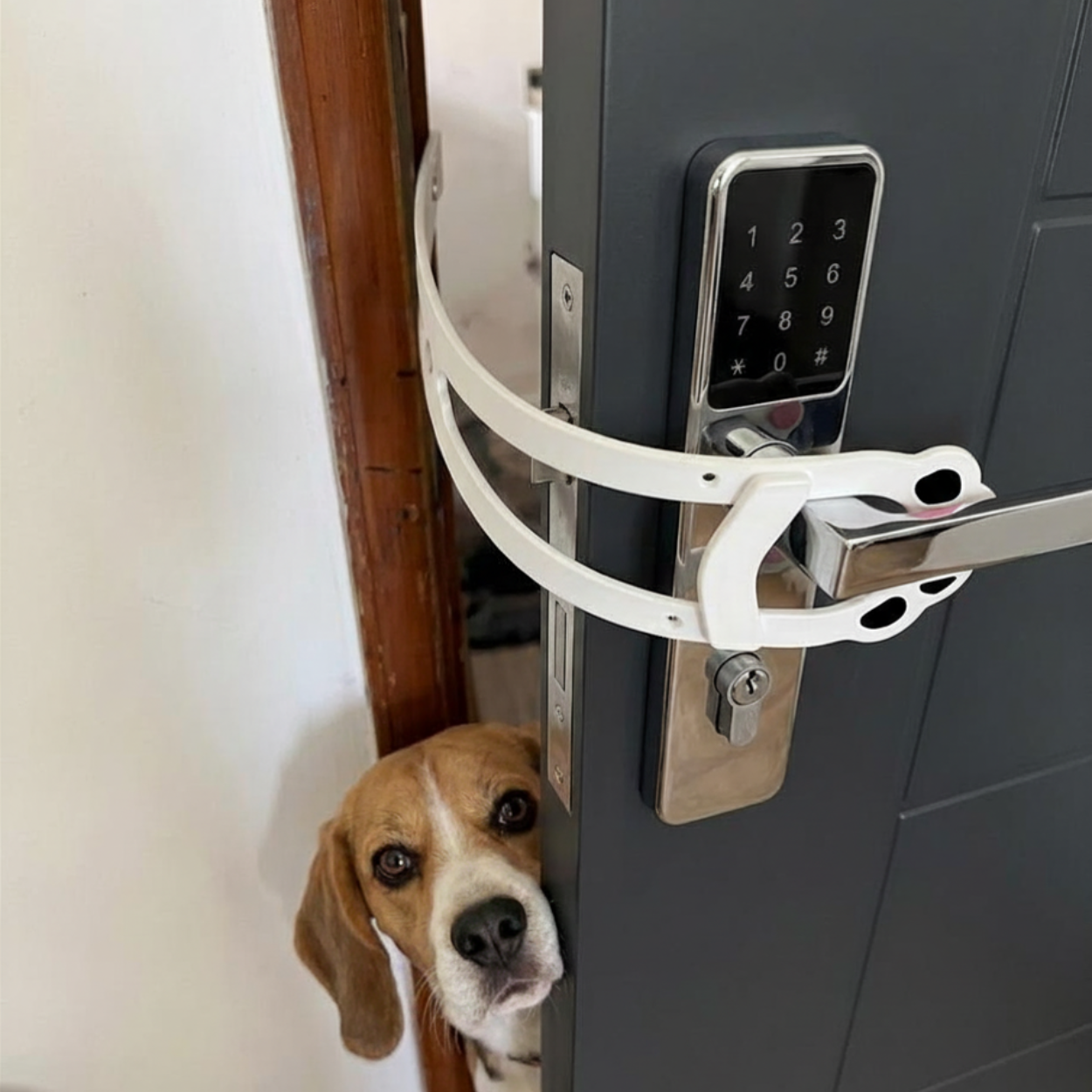 Adjustable Cat Door Holder Latch Punch-Free Pet Door Opener for Dogs and Cats