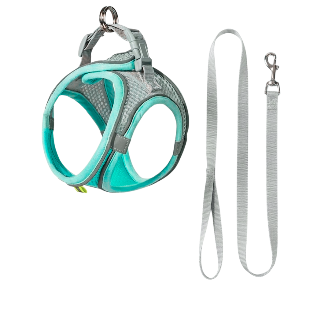 Small Dog Harness and Leash Set Adjustable Breathable Nylon Mesh Puppy Vest