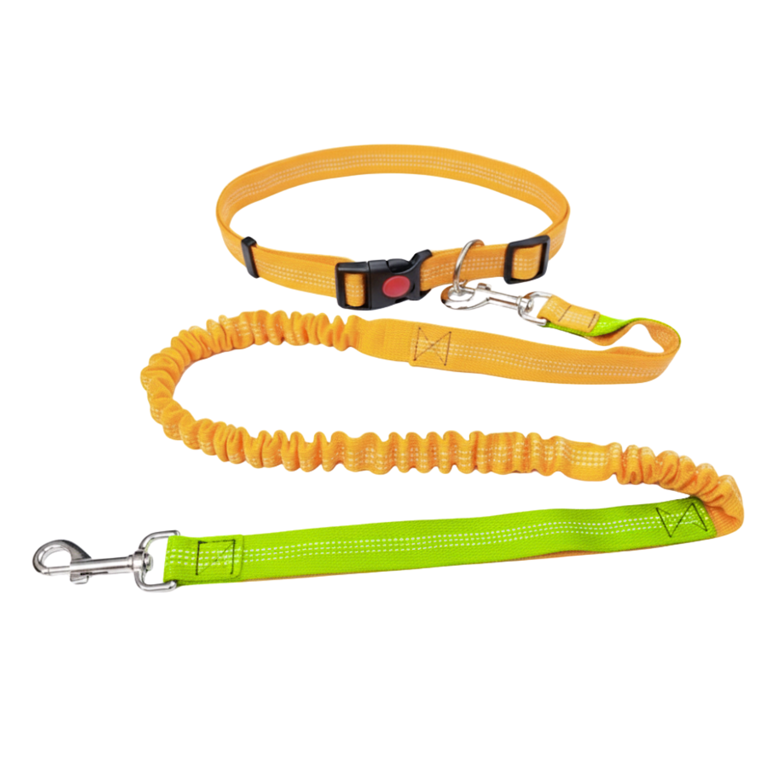 Hands Free Dog Leash for Running Elastic Nylon Bungee Leash with Waist Belt