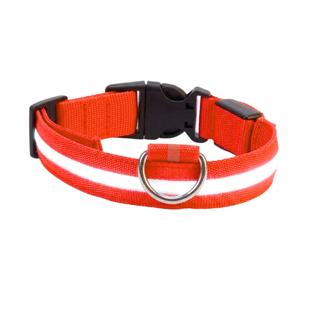 LED Dog Collar Nylon Rechargeable Glow in the Dark Night Safety Flashing Light