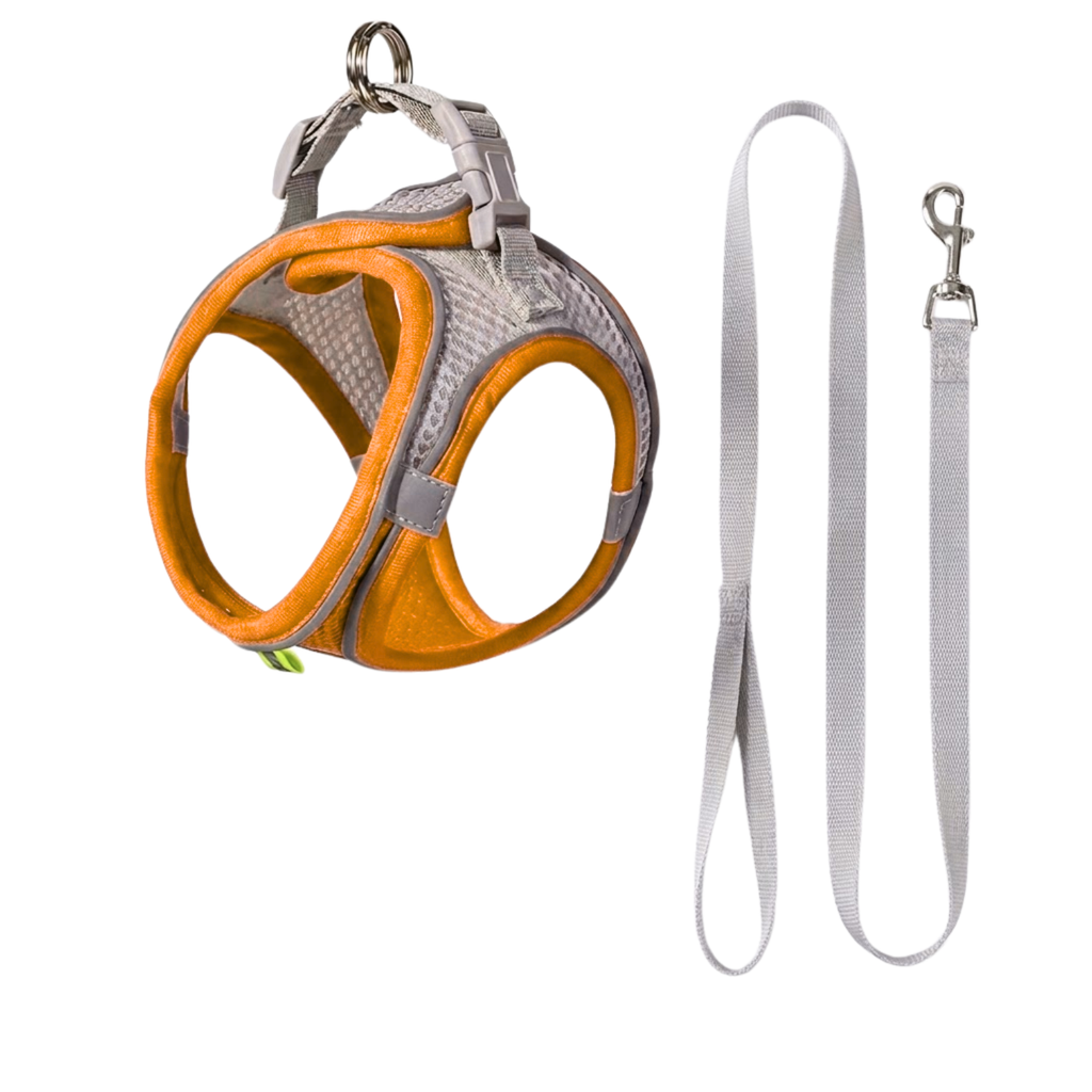 Small Dog Harness and Leash Set Adjustable Breathable Nylon Mesh Puppy Vest