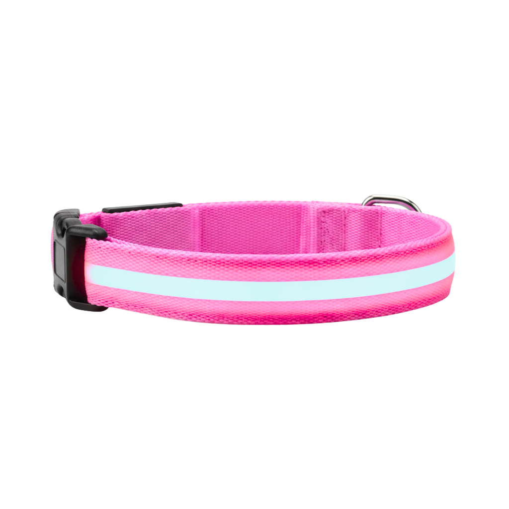 LED Glowing Dog Collar USB Rechargeable Nylon Light Up Pet Safety Harness Adjustable