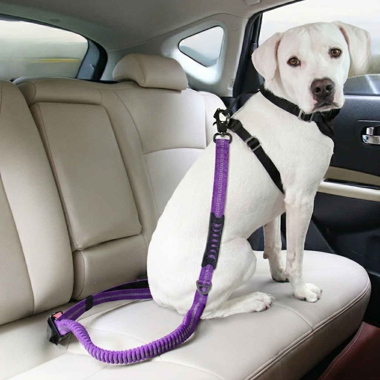 Tactical Bungee Dog Leash with Shock Absorbing Lead and Dual Padded Control Handles