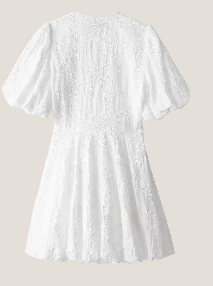 Embroidered Puff Sleeve Mini Dress Deep V-Neck Scalloped Hem Fit and Flare Mini Dress