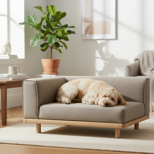 “Reserved for the fluffiest VIP 🐾🛋️
Because your pets are also your roomies.”